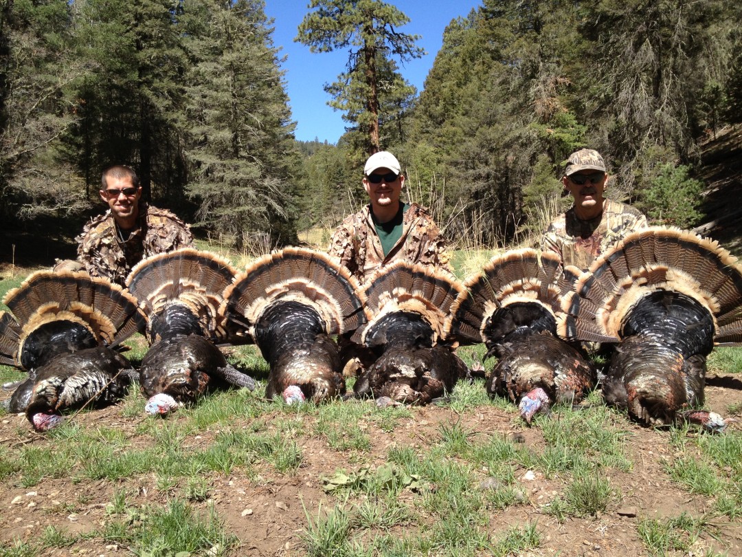 2025 Maine Spring Turkey Season Ibbie Laverne
